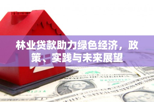 迭部林业贷款助力绿色经济，政策、实践与未来展望