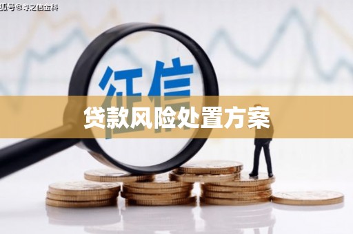 迭部贷款风险处置方案