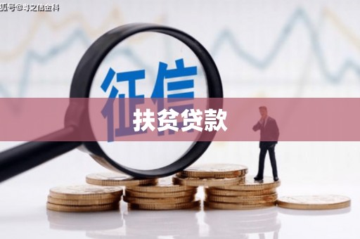 迭部扶贫贷款