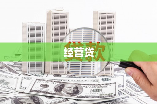 迭部经营贷